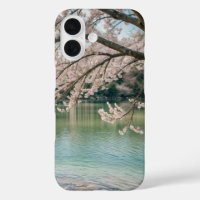 cherry blossom lake