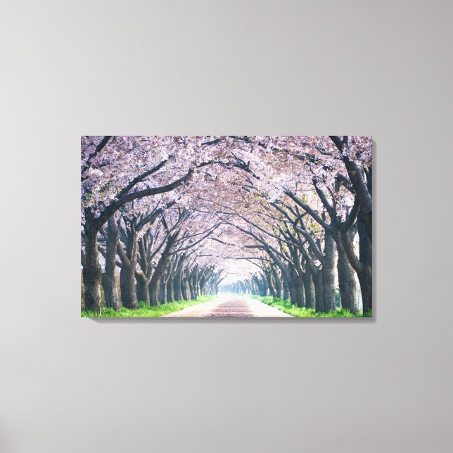 Cherry Blossom Lane Canvas Print (Front)