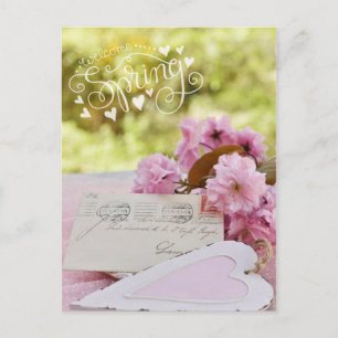 Cherry Blossom Loveletter Spring Text Postcard