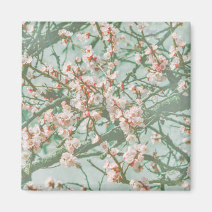Cherry blossom magnet