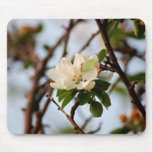 Cherry Blossom Mouse Pad