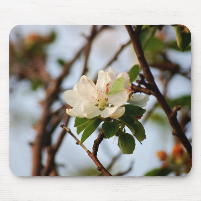 Cherry Blossom Mouse Pad (Front)