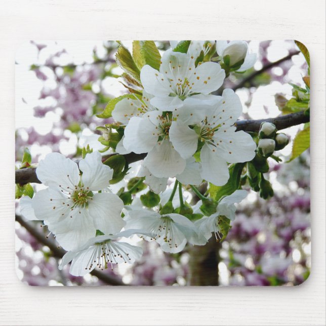 Cherry Blossom Mouse Pad (Front)