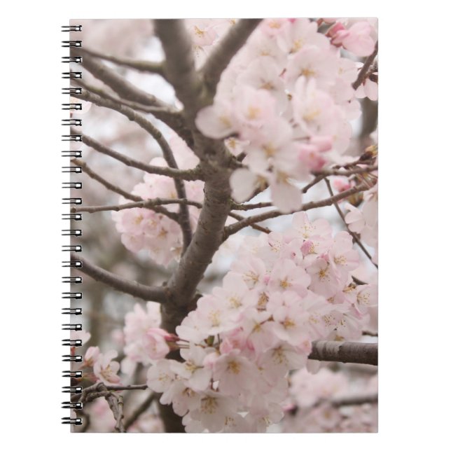 Cherry Blossom Notebook (Front)