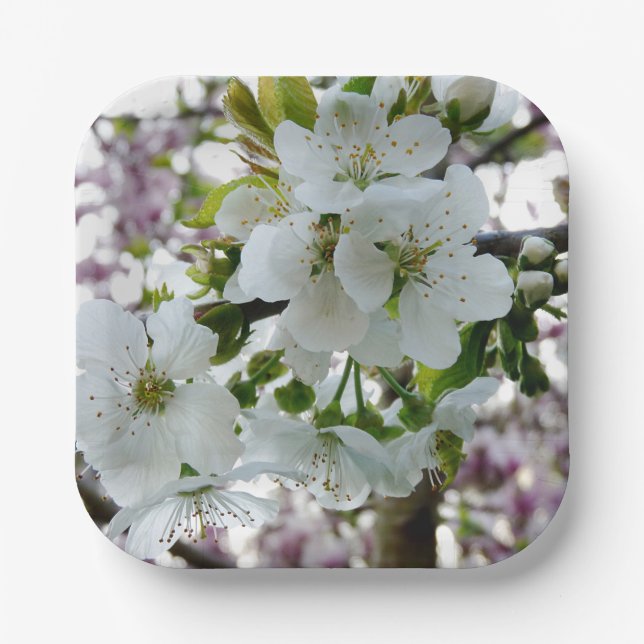 Cherry Blossom Paper Plate (Front)