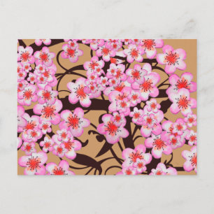 Cherry Blossom Postcard