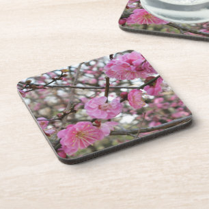 Cherry Blossom / Sakura / サクラ(桜) Coaster