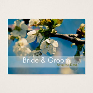 Cherry Blossom • Save the Date Mini Card