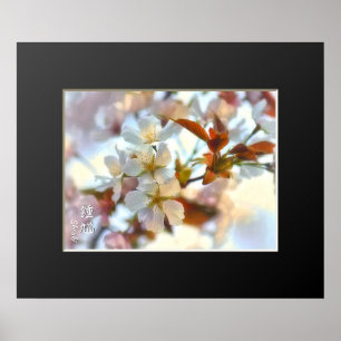 Cherry Blossom: Shouki Poster