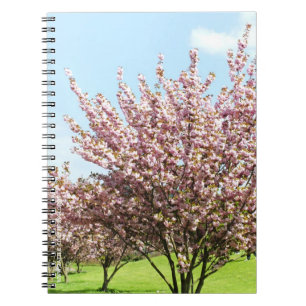 Cherry Blossom Spiral Notebook