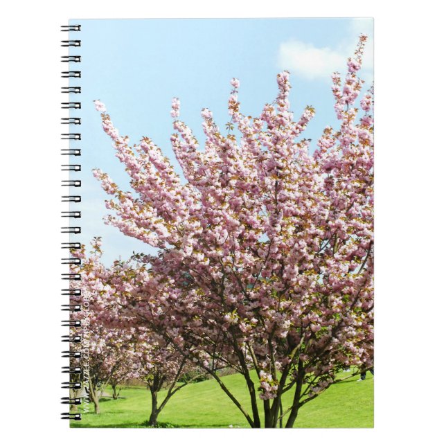 Cherry Blossom Spiral Notebook (Front)