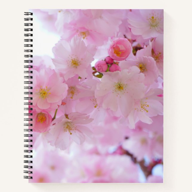 Cherry blossom Spiral Notebook (Front)