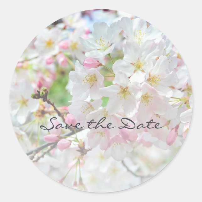 Cherry Blossom Springtime Wedding  Classic Round Sticker (Front)