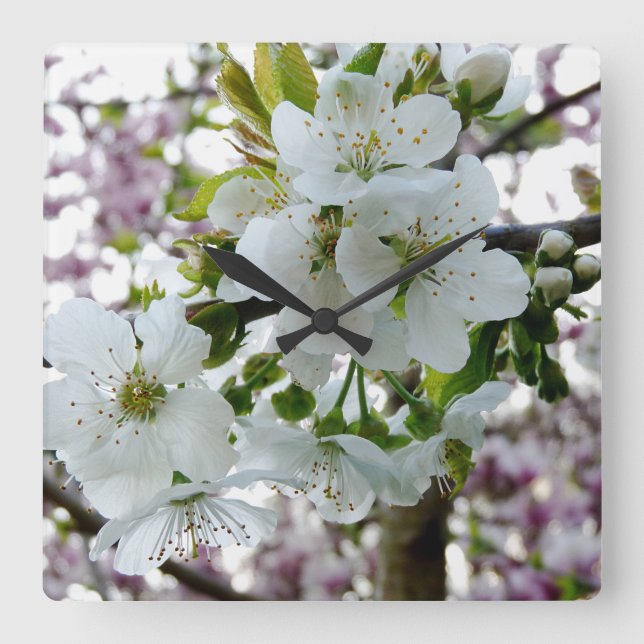 Cherry Blossom Square Wall Clock (Front)