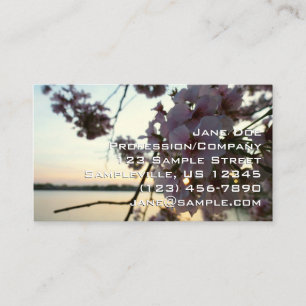 Cherry Blossom Sunset Business Card