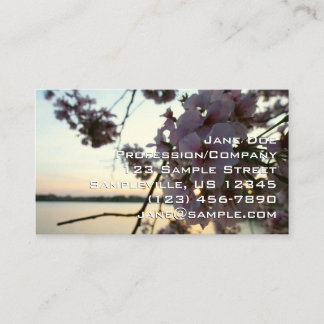 Cherry Blossom Sunset in Washington DC Business Card