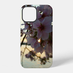 Cherry Blossom Sunset in Washington DC iPhone 12 Case