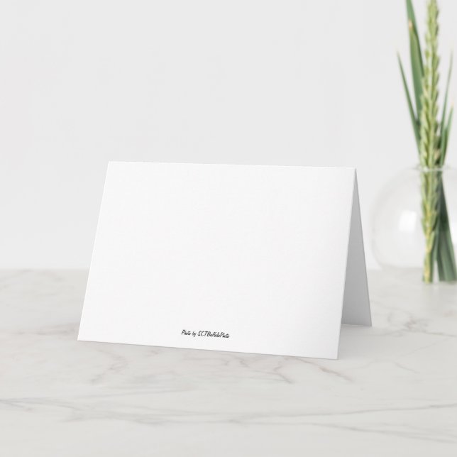 Cherry Blossom Surprise Folded Thank You Card (Back)