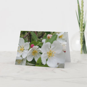 Cherry Blossom Surprise Folded Thank You Card