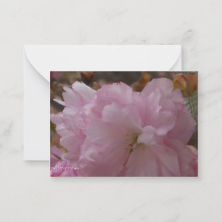 Cherry Blossom Sympathy Card
