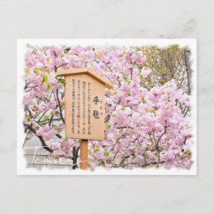 Cherry Blossom "Temari" ポストカード Postcard