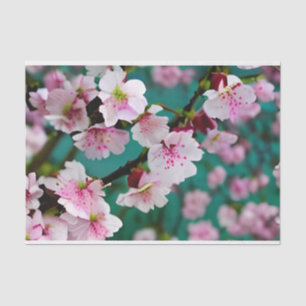 Cherry Blossom Tissue Paper