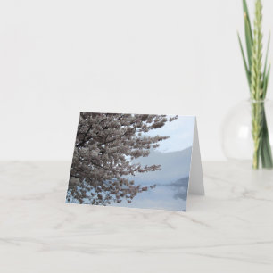 Cherry Blossom Tree Art Note Card