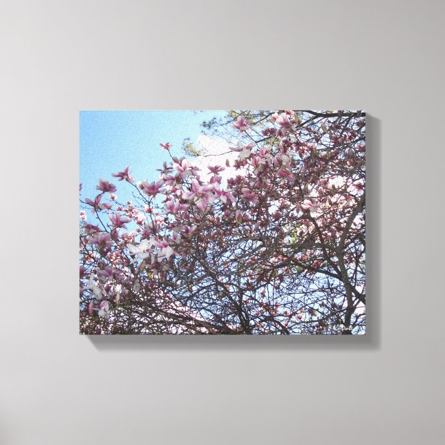 Cherry Blossom Tree Canvas Print (Front)