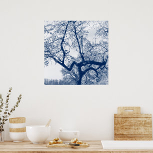 Cherry Blossom Tree, Delfts Blue Poster