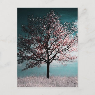 Cherry Blossom Tree Painting - Dusk Postcard