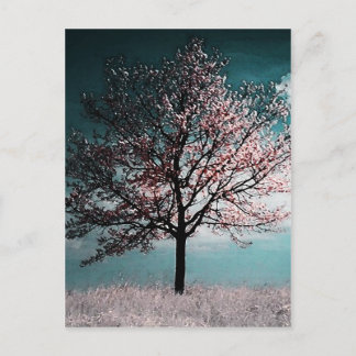 Cherry Blossom Tree Painting - Dusk Postcard