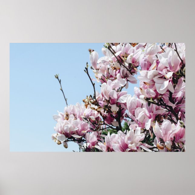 CHERRY BLOSSOM TREE POSTER (Front)