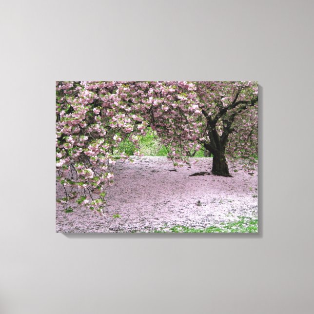 cherry blossom tree three panel wrapped canvas (Front)