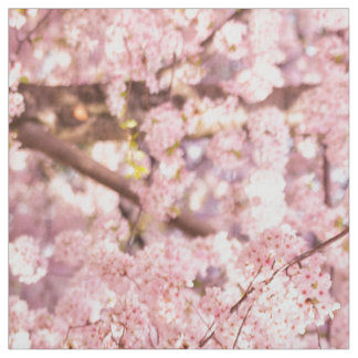 Cherry Blossom Trees Fabric