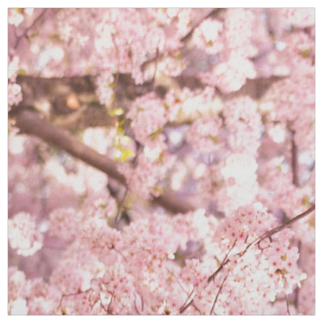 Cherry Blossom Trees Fabric (Swatch)