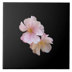 Cherry Blossom Trivet