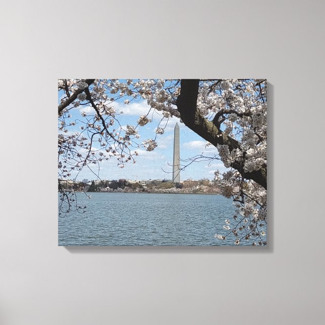 CHERRY BLOSSOMS #1 ON CANVAS     20 "x 16" Print (Front)