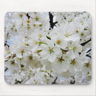 Cherry Blossoms 3 Mouse Pad