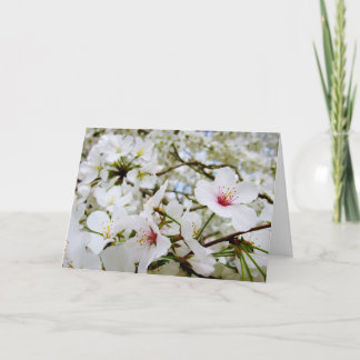 Cherry Blossoms 5 Sympathy Card