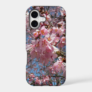 Cherry Blossoms and Bee Pink Spring Flowers