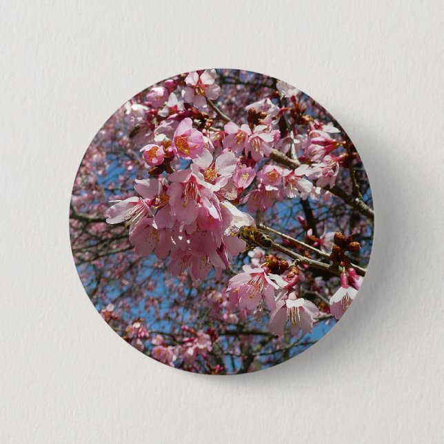 Cherry Blossoms and Bee Pink Spring Flowers 6 Cm Round Badge (Front)
