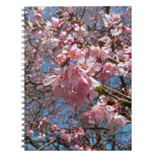 Cherry Blossoms and Bee Pink Spring Flowers Spiral Notebook