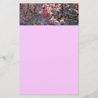 Cherry Blossoms and Bee Pink Spring Flowers Stationery