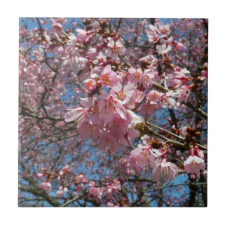 Cherry Blossoms and Bee Pink Spring Flowers Tile