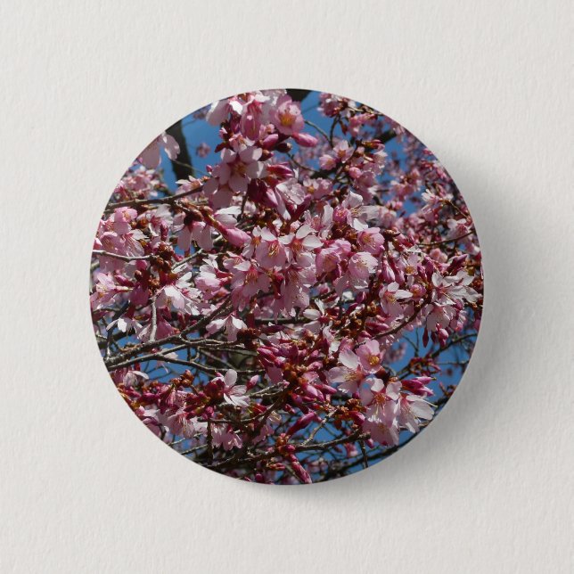 Cherry Blossoms and Blue Sky Spring Floral 6 Cm Round Badge (Front)