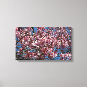 Cherry Blossoms and Blue Sky Spring Floral Canvas Print
