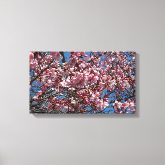 Cherry Blossoms and Blue Sky Spring Floral Canvas Print