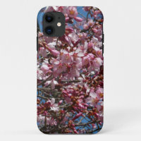 Cherry Blossoms and Blue Sky Spring Floral
