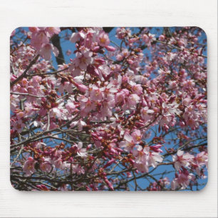 Cherry Blossoms and Blue Sky Spring Floral Mouse Pad