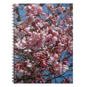 Cherry Blossoms and Blue Sky Spring Floral Notebook